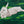 Jolanda Rendl Hase
