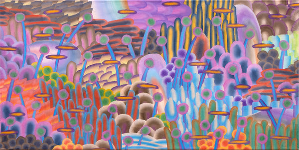 An empty garden (night)