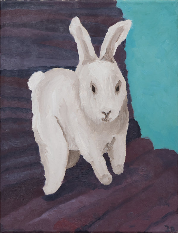 purple rabbit